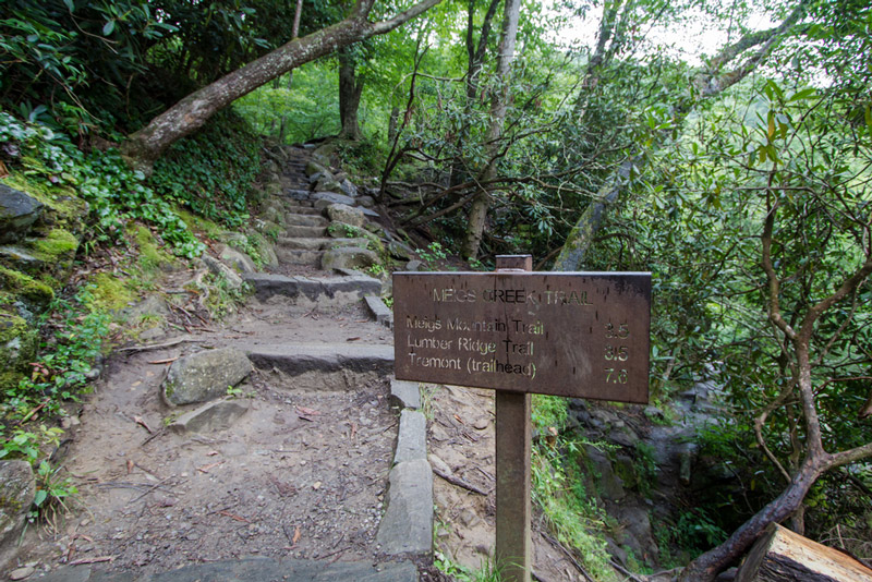 hiking in the great smoky mountains national park