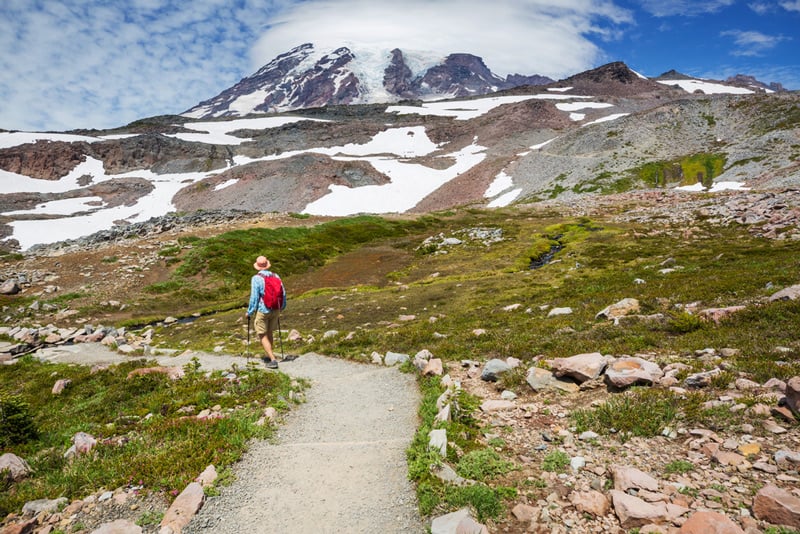 hiking trail in mount rainier national park washington state