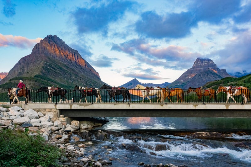 horseback riding tour in glacier national park montana