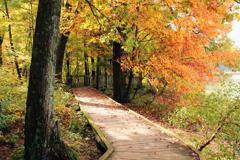 hiking trail along the ice age national historic trail in wisconsin