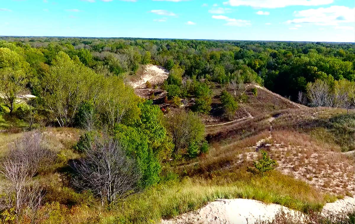 Hiking trails at the indiana dunes national park