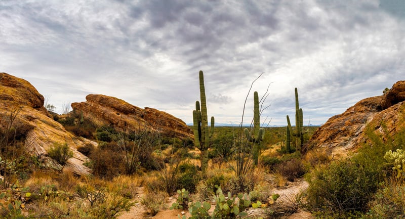 picture of javelina rocks overlook in saguaro national park