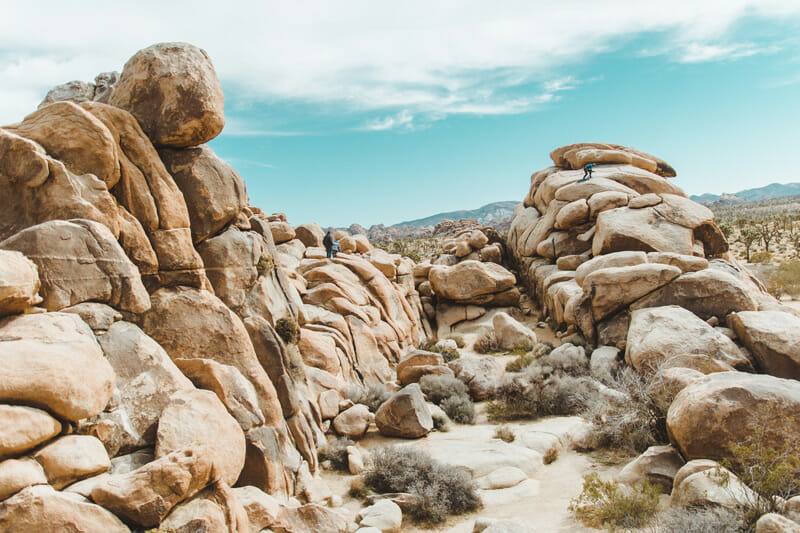 Joshua tree national park camping and climbing