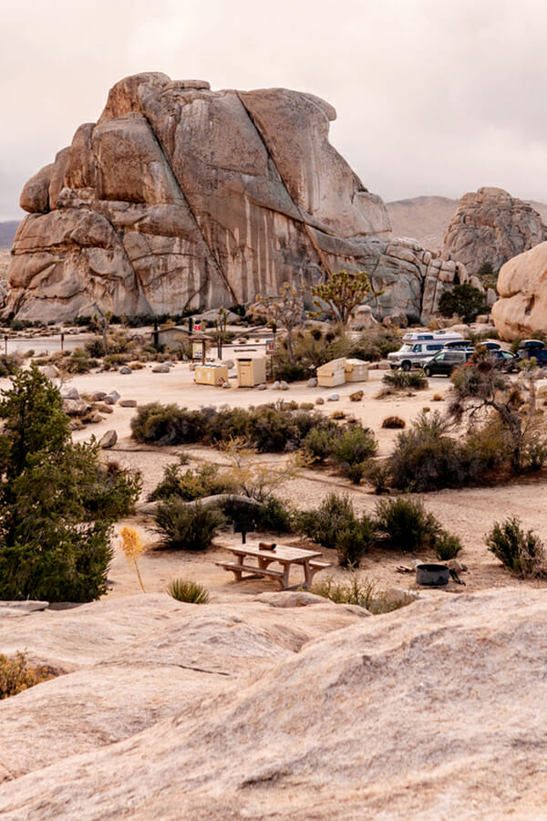 ryan campground in joshua tree national park