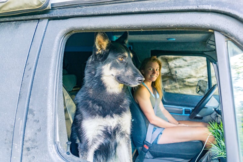 kate moore and harper driving in a camper van