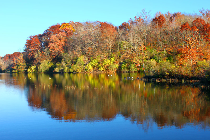 Kickapoo State Park in the fall