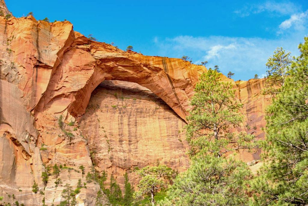 hiking to kolob arch via la verkin creek in zion national park