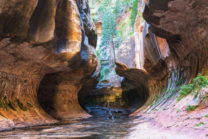 hiking through the subway trail past emerald pools in kolob canyon