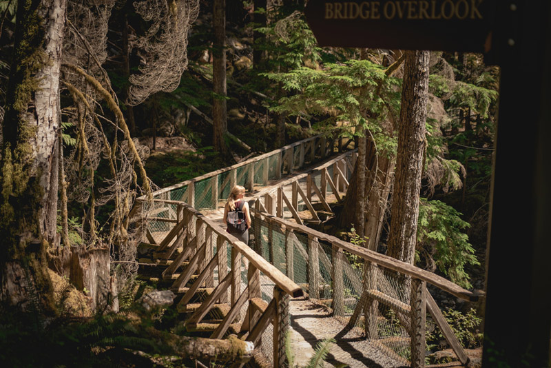 hiking on the ladder creek falls trail north cascades