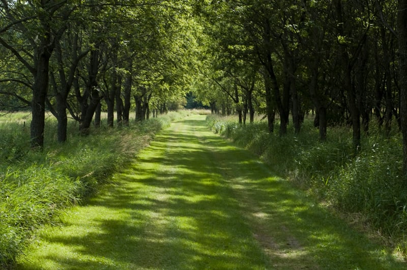 Lewis and Clark National Historic Trail