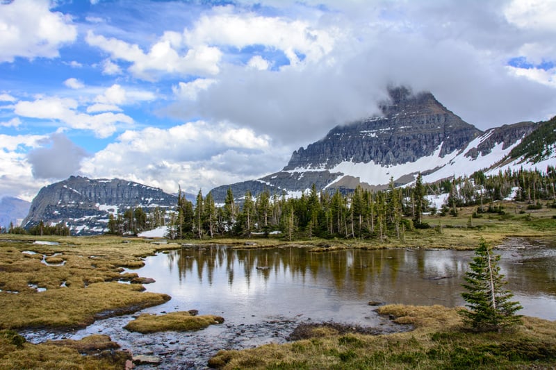 view of reynolds mountain at logan pass in glacier national park