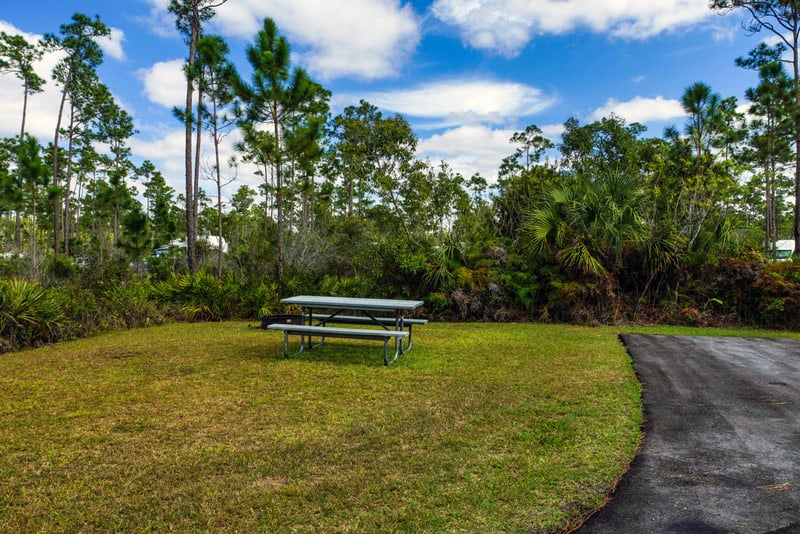 campsite at long pine key campground in everglades national park