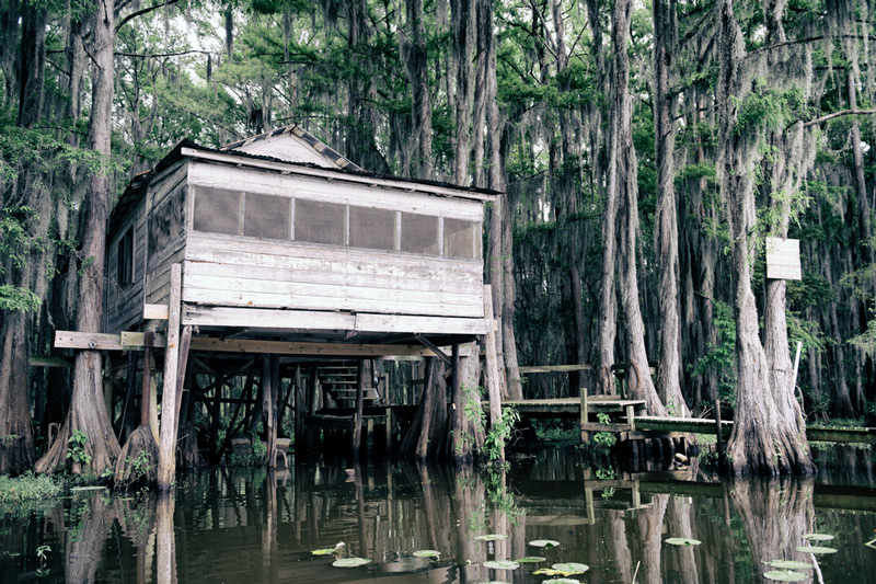 louisiana national park swamp