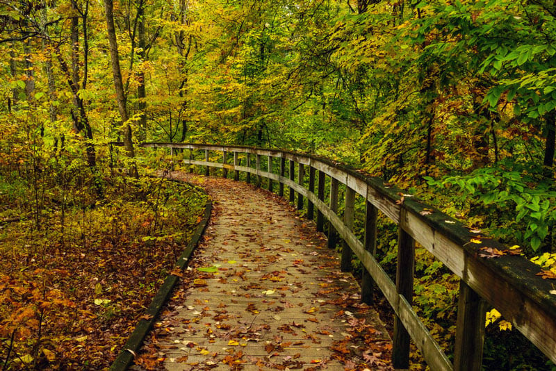 sand cave trail in mammoth cave national park in kentucky