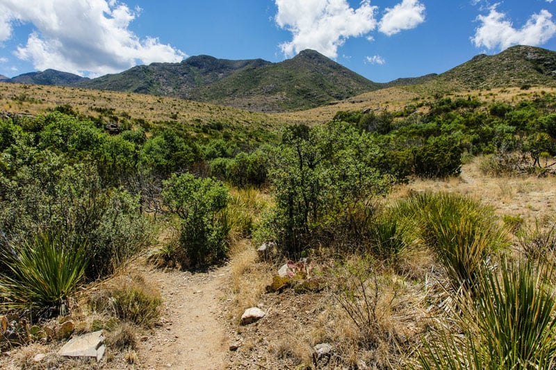 backpacking the McKittrick trail in the guadalupe mountains national park