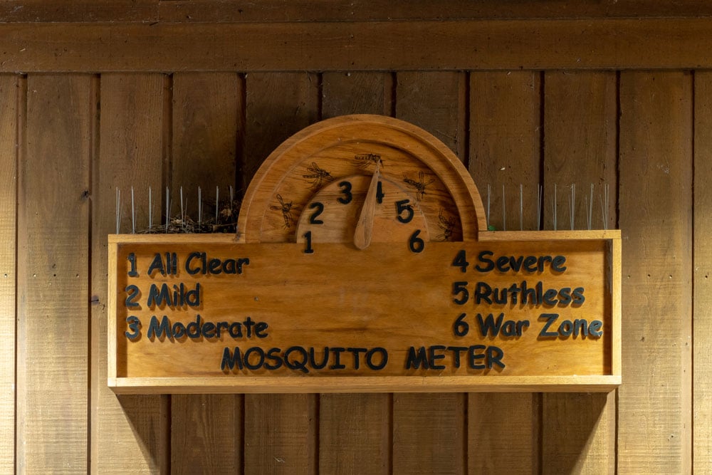 mosquito meter in congaree national park
