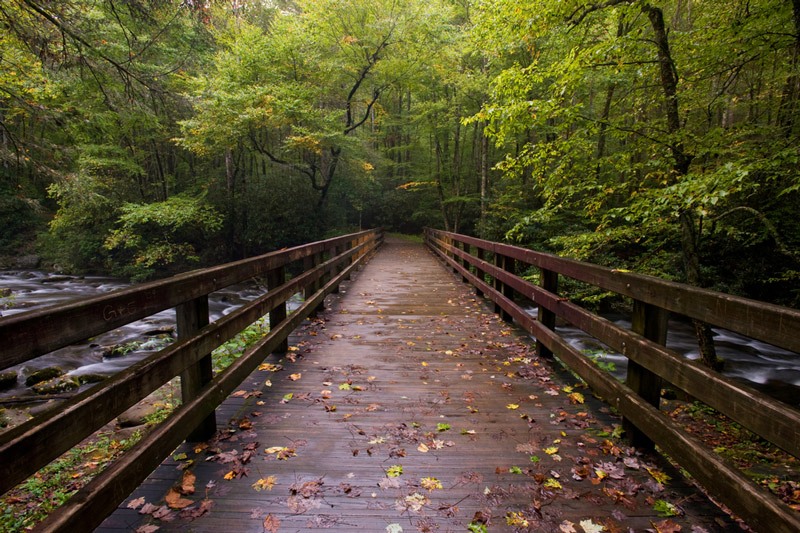 hiking across a bridge in great smoky mountains national park north carolina