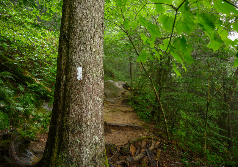 north country national hiking trail in vermont park