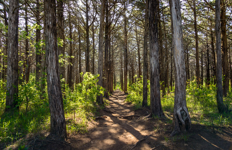 oklahoma national park trail