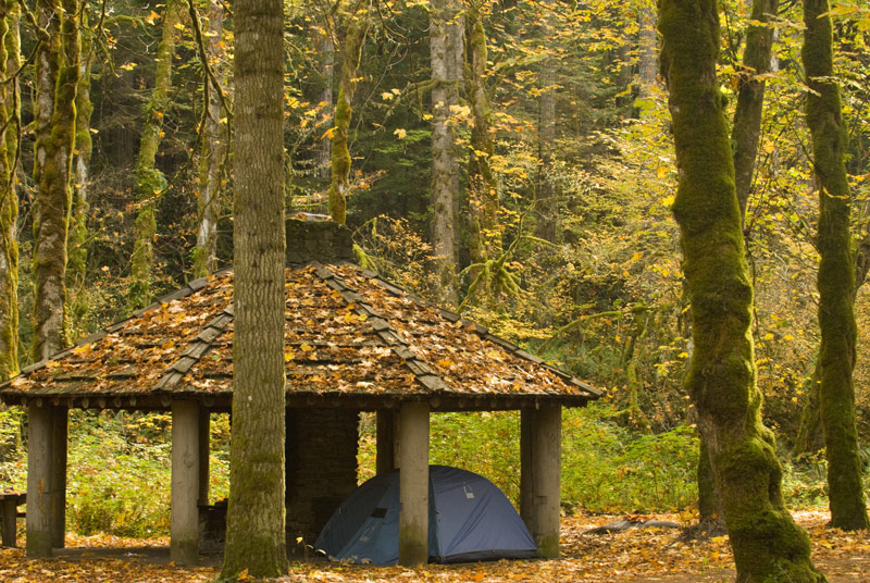 Elwha campground near olympic national park