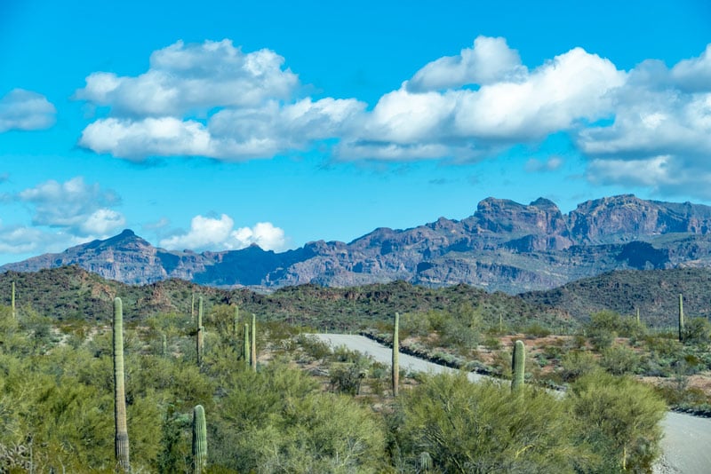 organ pipe cactus national monument in arizona