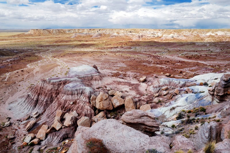 petrified forest national park in arizona