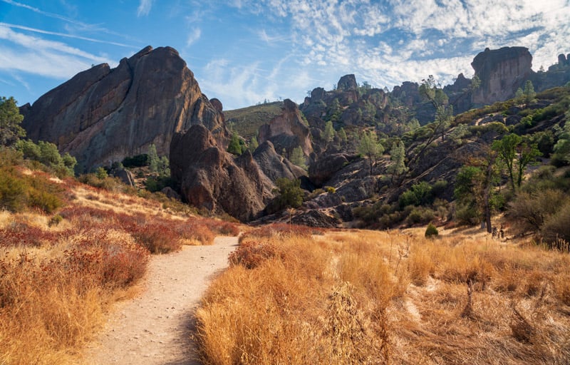 landscape for camping in pinnacles national park