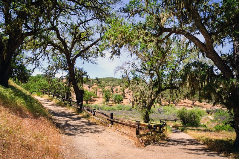 trail outside the campground at pinnacles national park in california