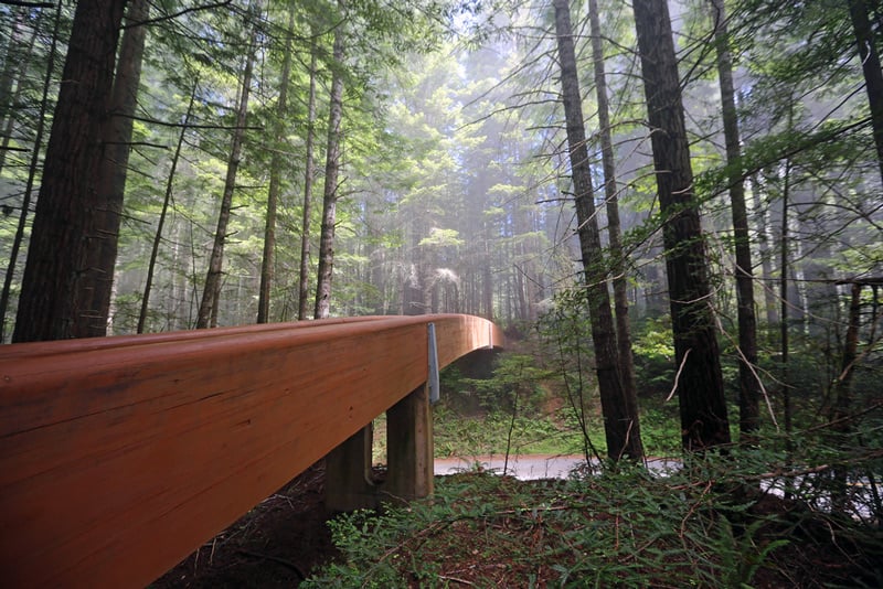 Bridge in Lady Bird Johnson Grove, Redwood National Park California