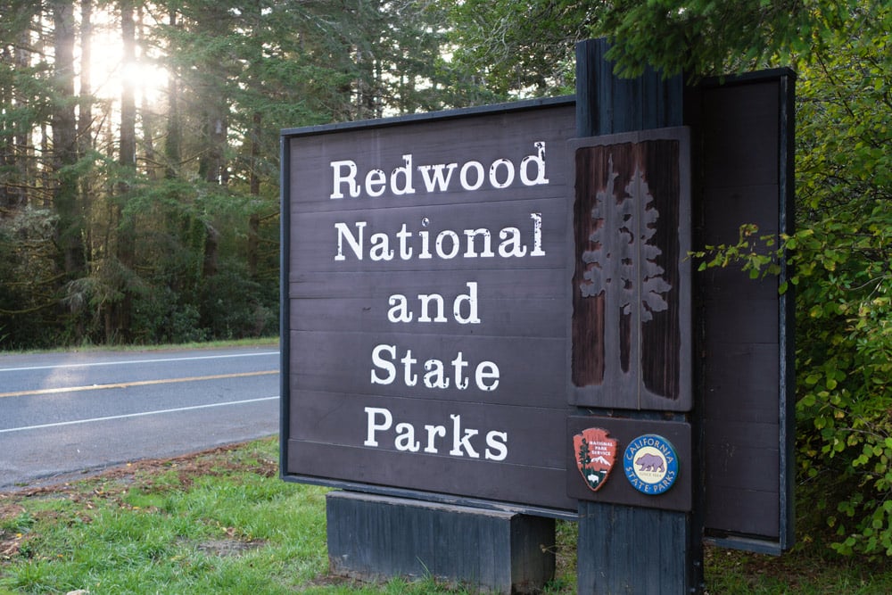 entrance to redwood national and state parks