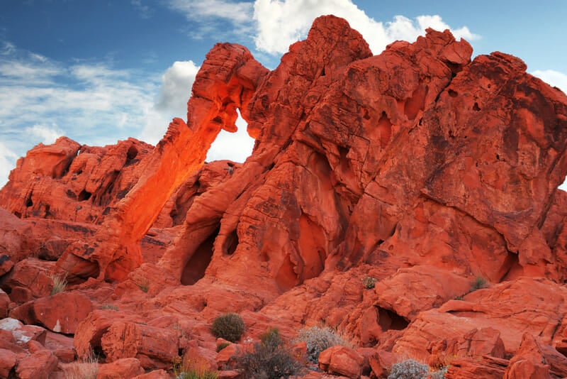 elephant rock formation at the valley of fire state park in nevada