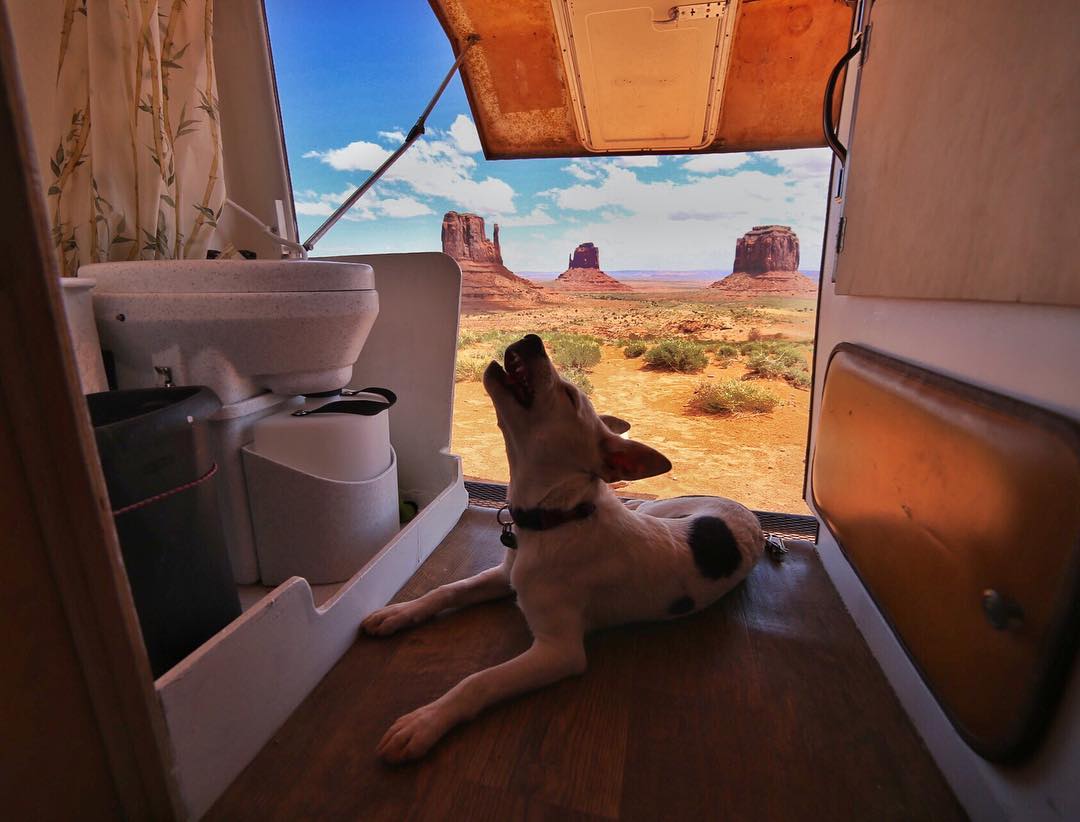 Composting toilets are easy to install, healthy and good for the environment. A composting toilet like this makes the perfect bathroom alternative in a camper van
