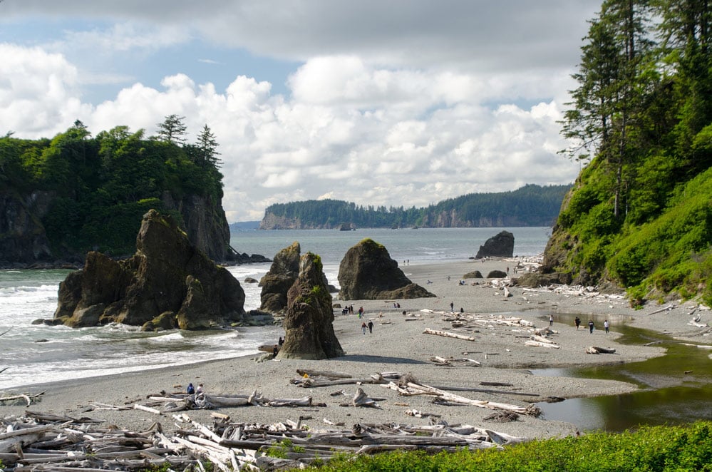 camping near ruby beach at olympic national park