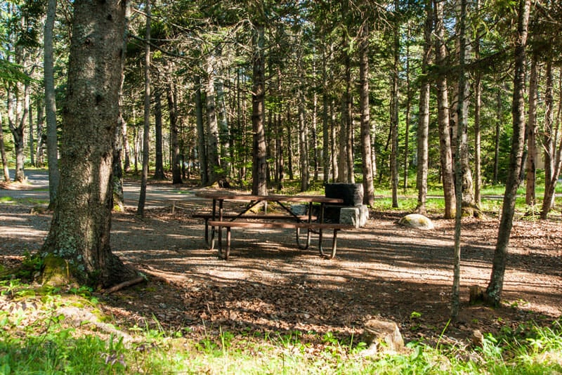 campsite at seawall campground in acadia national park