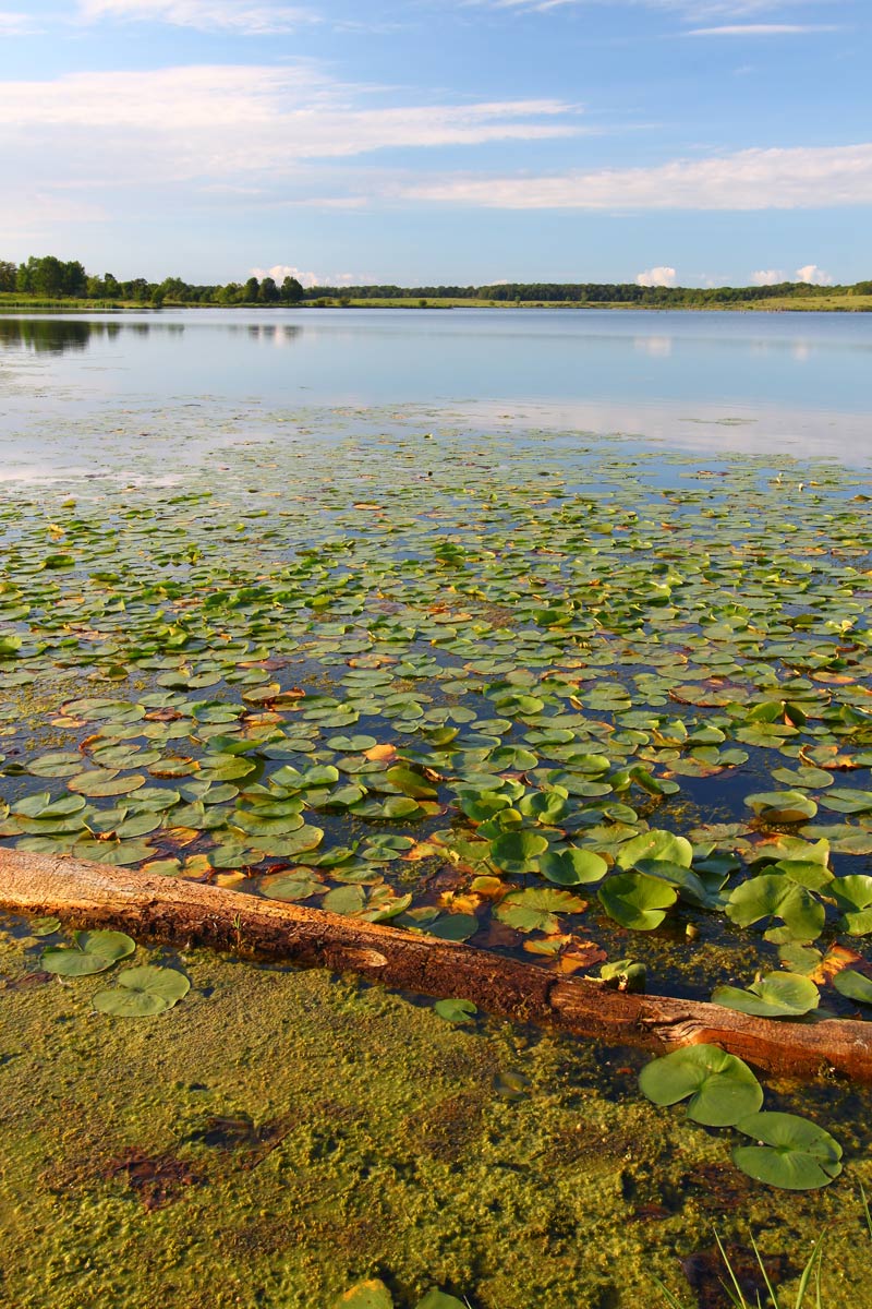 Shabbona lake state park in Northern Illinois