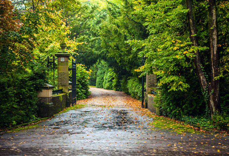 road leading to shenandoah national park