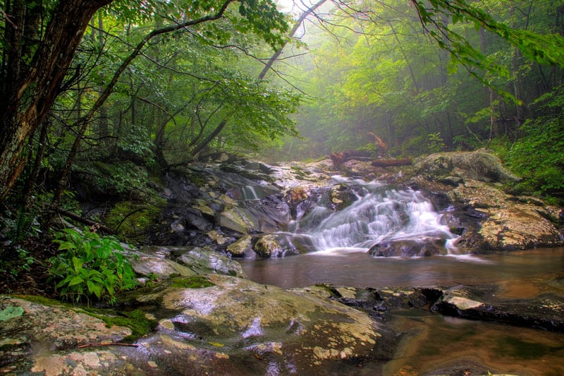 waterfall in shenandoah national park
