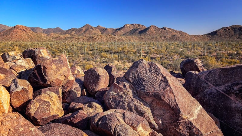 signal hill petroglyphs in saguaro national park