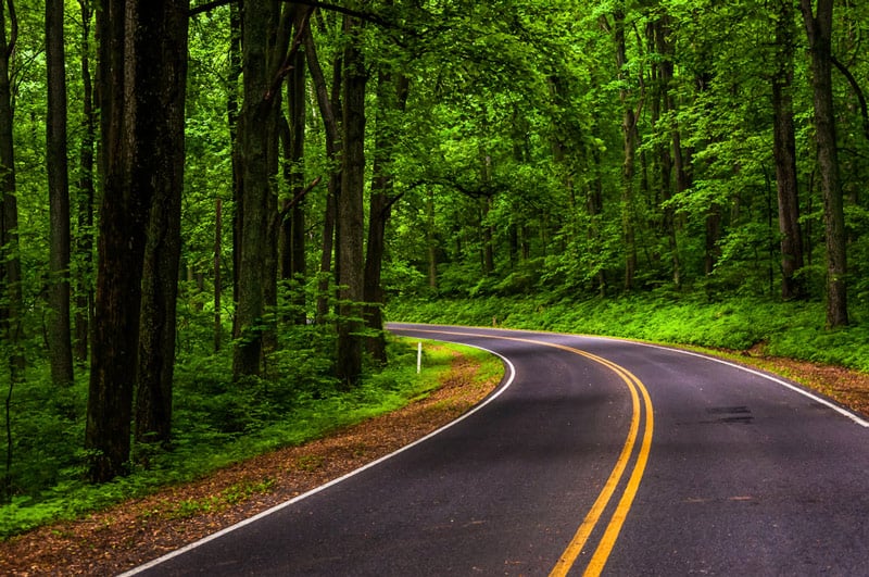 skyline scenic drive in Shenandoah national park