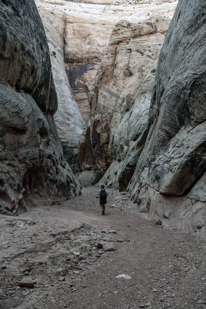 hiking through grand wash slot canyon in capitol reef national park in utah