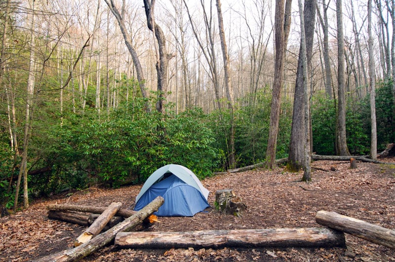 tent camping in the great smoky mountains national park