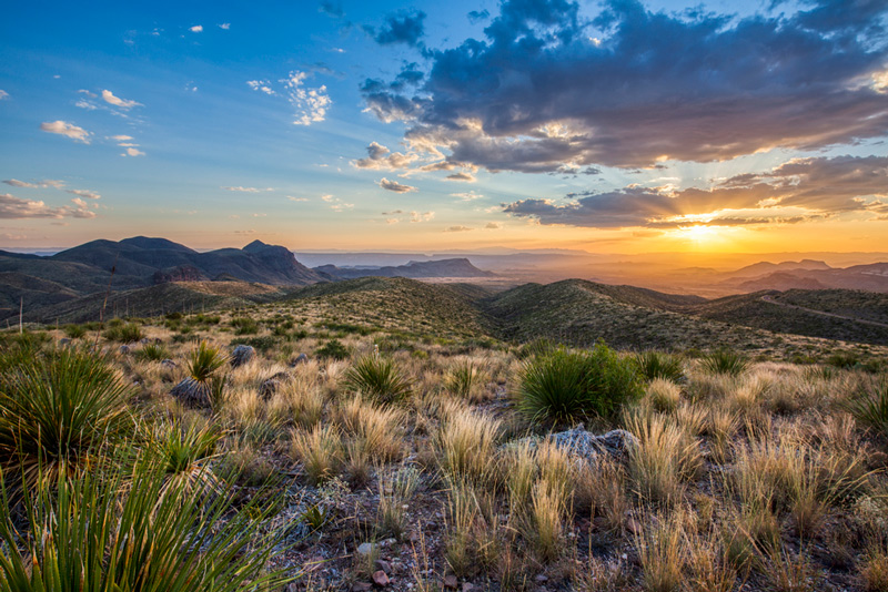 view from the top of sotol vista in big bend national park texas