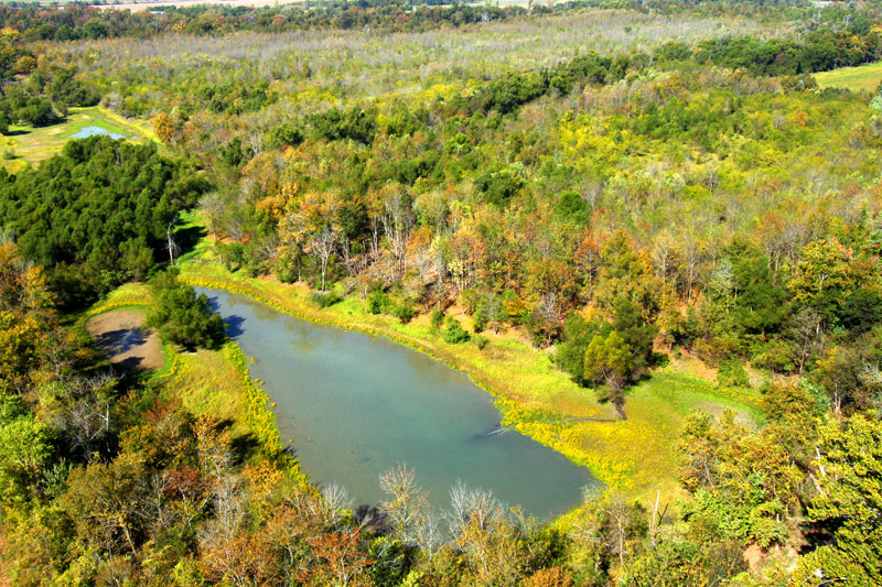 Shawnee National Forest in Southern Illinois