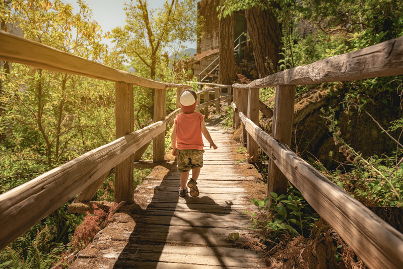 hiking on a boardwalk trail in north cascades national park