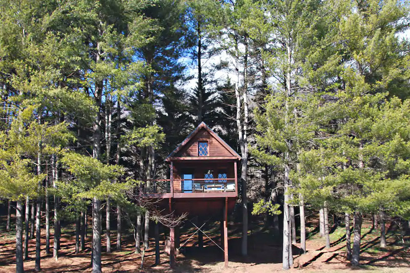 tiny virginia treehouse cabin in the woods for a staycation rental