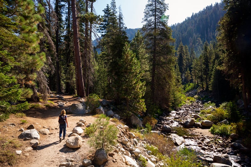 hiking on the Tokopah falls trail to the waterfalls in sequoia national park california