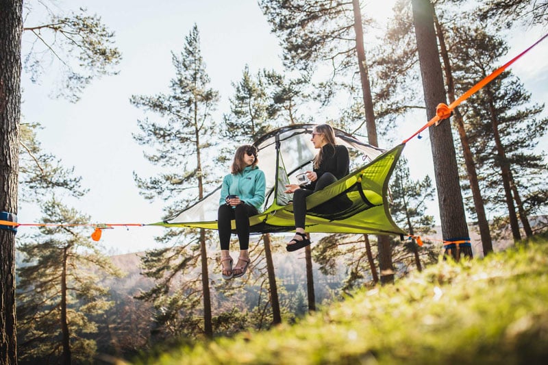 two friends hanging in a tree tent