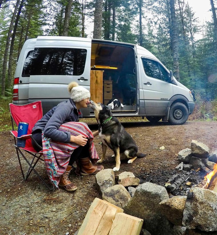 van camping with a dog