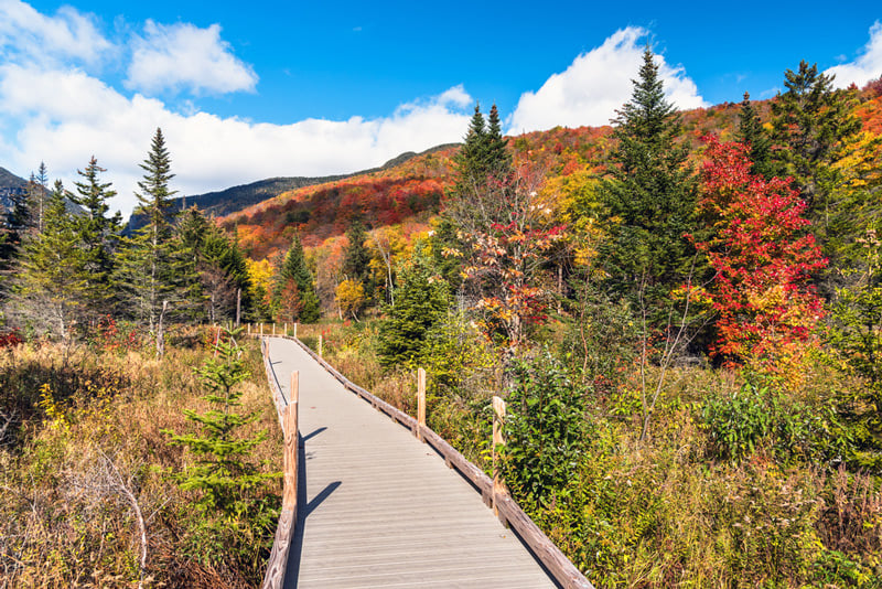 vermont national park hiking trail