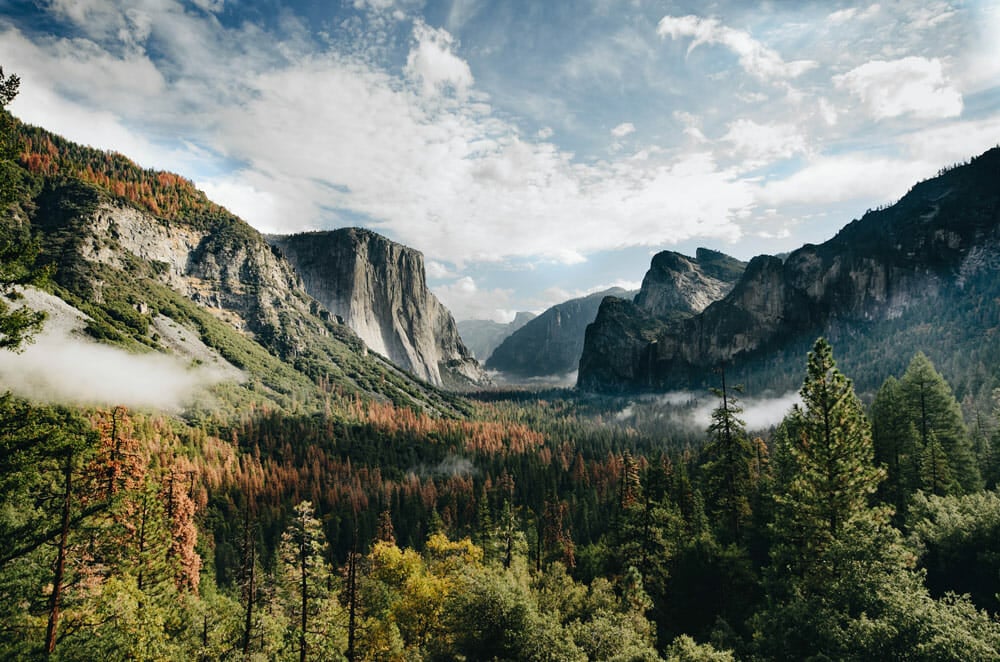 visiting yosemite national park in the spring is the best time of year to see wildflowers